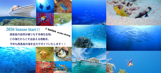 �w�肢��������x�_�C�r���O�ł��肽���B���ׂẮA�u�Ί�v�̂��߂ɁE�E�E�B